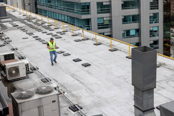 Best Roof Moss and Algae Removal  in Rock Island, WA