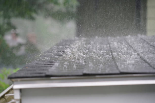Best Sheet Metal Roofing  in Rock Island, WA